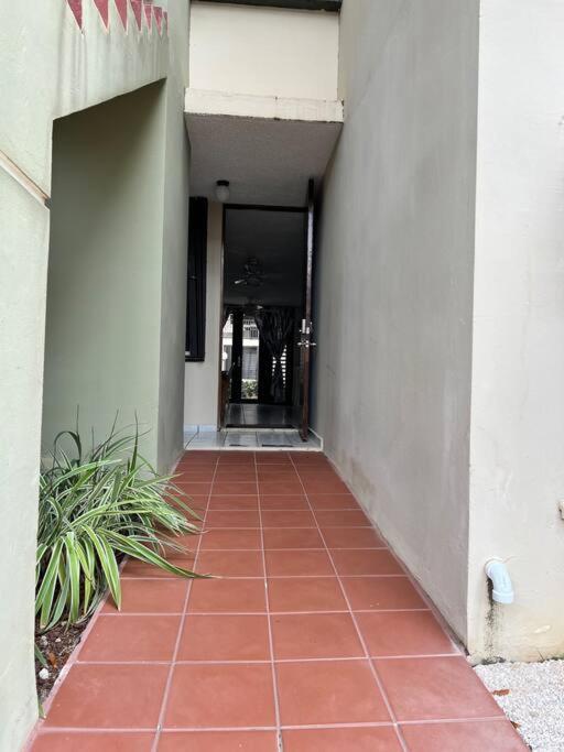 Entire Beach Apartment With View To El Yunque National Rain Forest Río Grande Eksteriør bilde